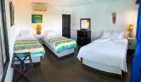 Marbella Eco Lodge Hotels in Буэна Виста