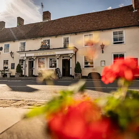 The Dog & Bear Hotel Отели в г. Мейдстоун