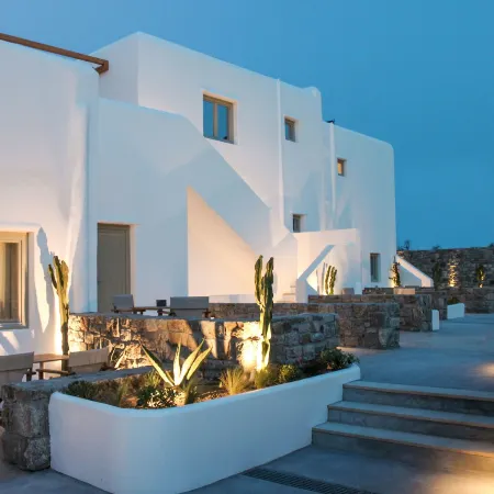 Mykonos Cactus