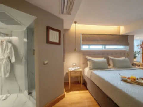 Acropolian Spirit Boutique Hotel โรงแรมในเอเธนส์