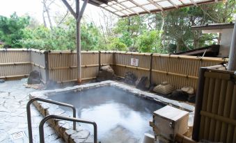 Hotel New Daishin