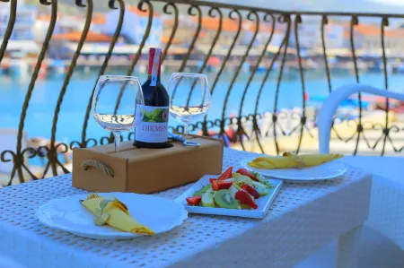 Huri & Nuri Hotel Отели в г. Фоча