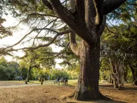 Quest Albany Hotels near QBE Stadium Function Centre