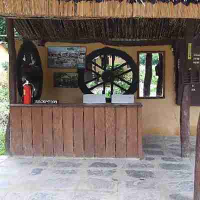Island Jungle Resort Others