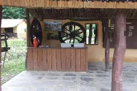 Island Jungle Resort Hotels in Kawasoti