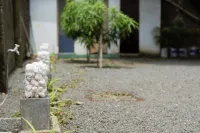 Cozy Sea View Inn Hotels near Aquarium Hikkaduwa
