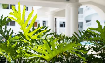 Ocean Palms Residences