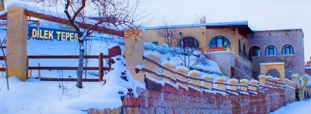 Dilek Tepesi Cave Hotel Отели в г. Ayvali