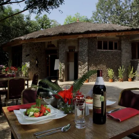 Abay Minch Lodge