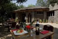 Abay Minch Lodge - Breakfast