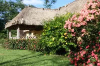 Tanager RainForest Lodge