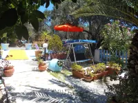 Meltemia Studios