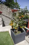 B&B Via Delle 5 Terre