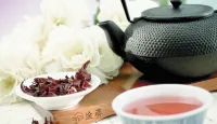 城市飯店-德累斯頓 - SPA