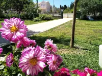 Ever Green Hotels in Kavos