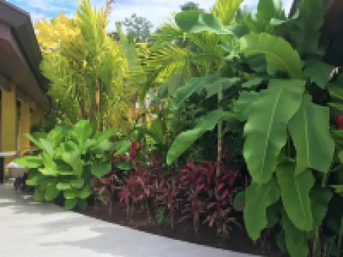 金蘋果別墅飯店