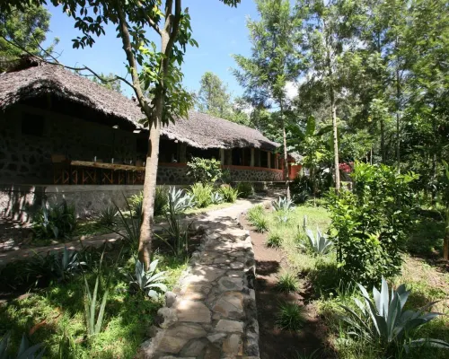 Kiboko Lodge Hotels in Arumeru