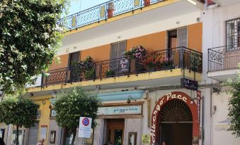 B&B Eco