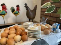 芙雷迪里斯公園飯店 - 早餐