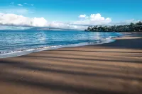 Four Seasons Resort Maui at Wailea - Ocean View