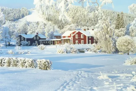 Järvsöbaden Отели в г. Jarvso