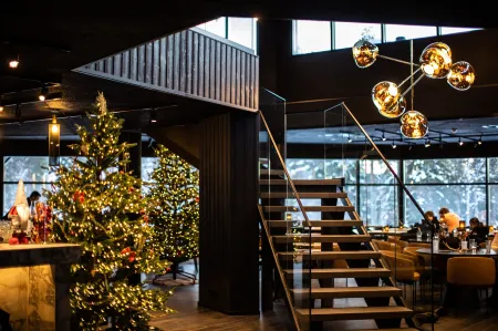 Northern Lights Village Pyhä Отели рядом с достопримечательностью «Kairosmaja»