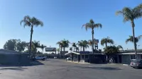 King's Inn Motel