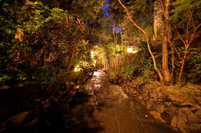 ホテル周辺 日田温泉琴平 旅籠かやうさぎの写真