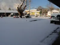Jumping Frog Motel - parking