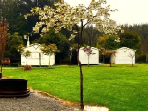 Taringatura Backpackers Hotels in 