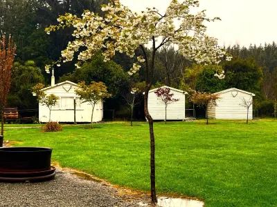 Taringatura Backpackers Hotels in 