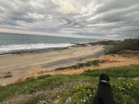 BednBong Experience Stay