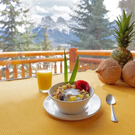 A Bear and Bison Country Inn