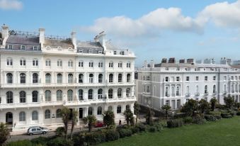 Fox on the Hoe