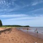 Wild Pines Cabins - Sea View