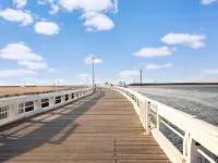 Sunny Ground Floor Escape