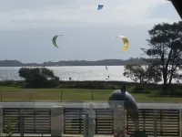 THE DOLPHIN PLACE ON THE ESTUARY.