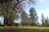 Yosemite/Mariposa Mountain Get-a-way