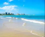 NEW - LUXURIOUS MODERN STUDIO - STEPS TO THE BEACH, RESTAURANTS AND HOTELS