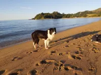 Ruru at Ligar Bay Hotels in Tata Beach