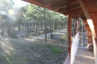 Authentic log in the heart of the pine forest for 10 people