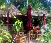 2 BR with infinity adult pool + family pool, ocean view, & best street in Playa!