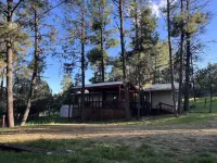 Cozy cabin in a peaceful place