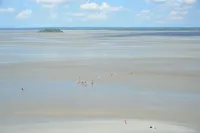 Apartment 4p, in the heart of Granville, between ports, beach, center and high city