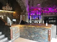 Hotel Mas Palou - bar