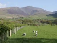 Fellside Cottage Hotels in Wythop