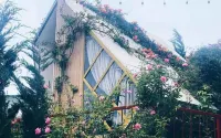 Legume Guest House