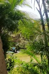 City Charm & Poolside Peace -Gated - 3-Star