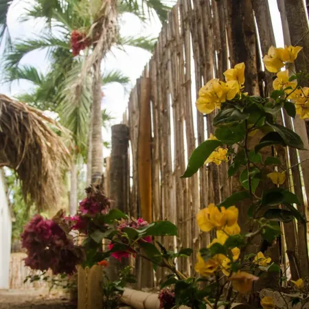 Hostal Corazon de Tagua