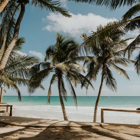 Zorba Tulum Beach Homes